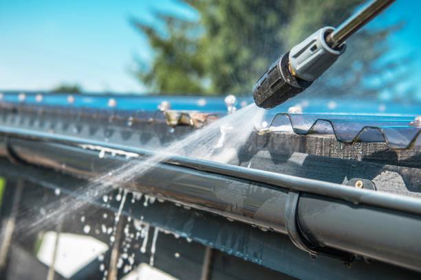 Best Roof Power Washing Services  in Morrice, MI