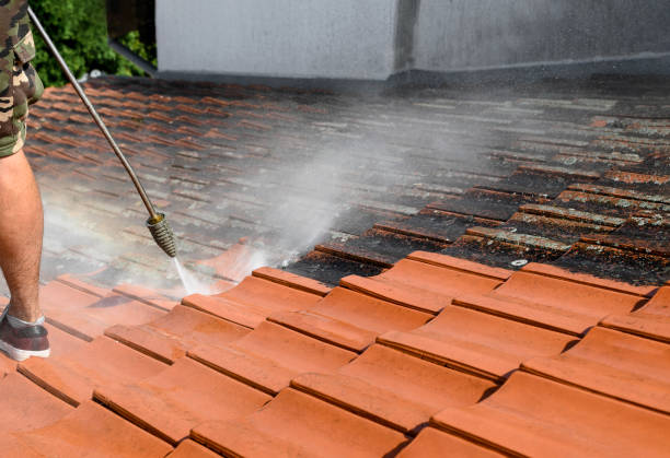 Best Commercial Building Pressure Washing  in Morrice, MI