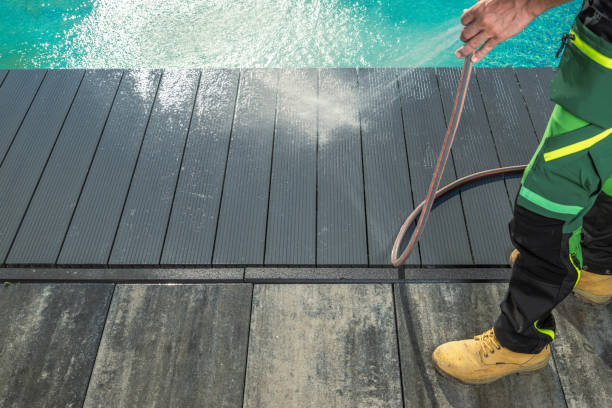 Best Pressure Washing Company Near Me  in Morrice, MI