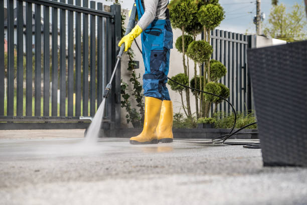 Best Roof Power Washing Services  in Morrice, MI