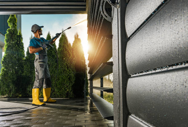 Best Residential Pressure Washing Services  in Morrice, MI