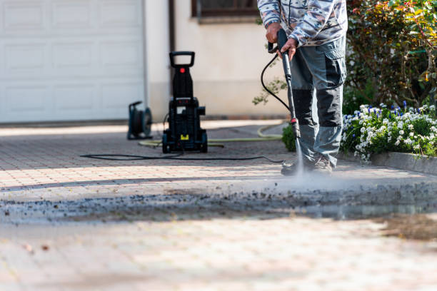 Best Pressure Washing Siding  in Morrice, MI