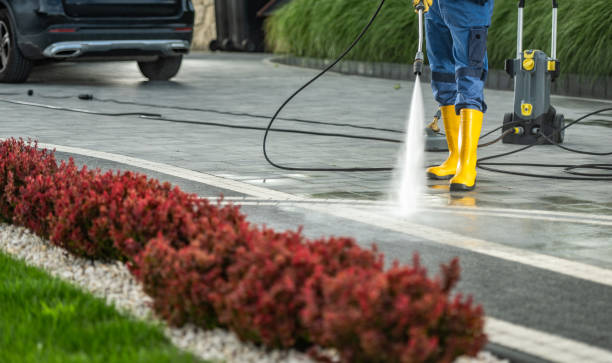 Best House Pressure Washing  in Morrice, MI