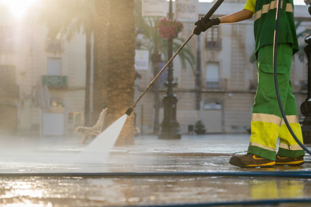 Best Roof Power Washing Services  in Morrice, MI