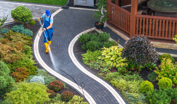 Best Concrete Pressure Washing  in Morrice, MI